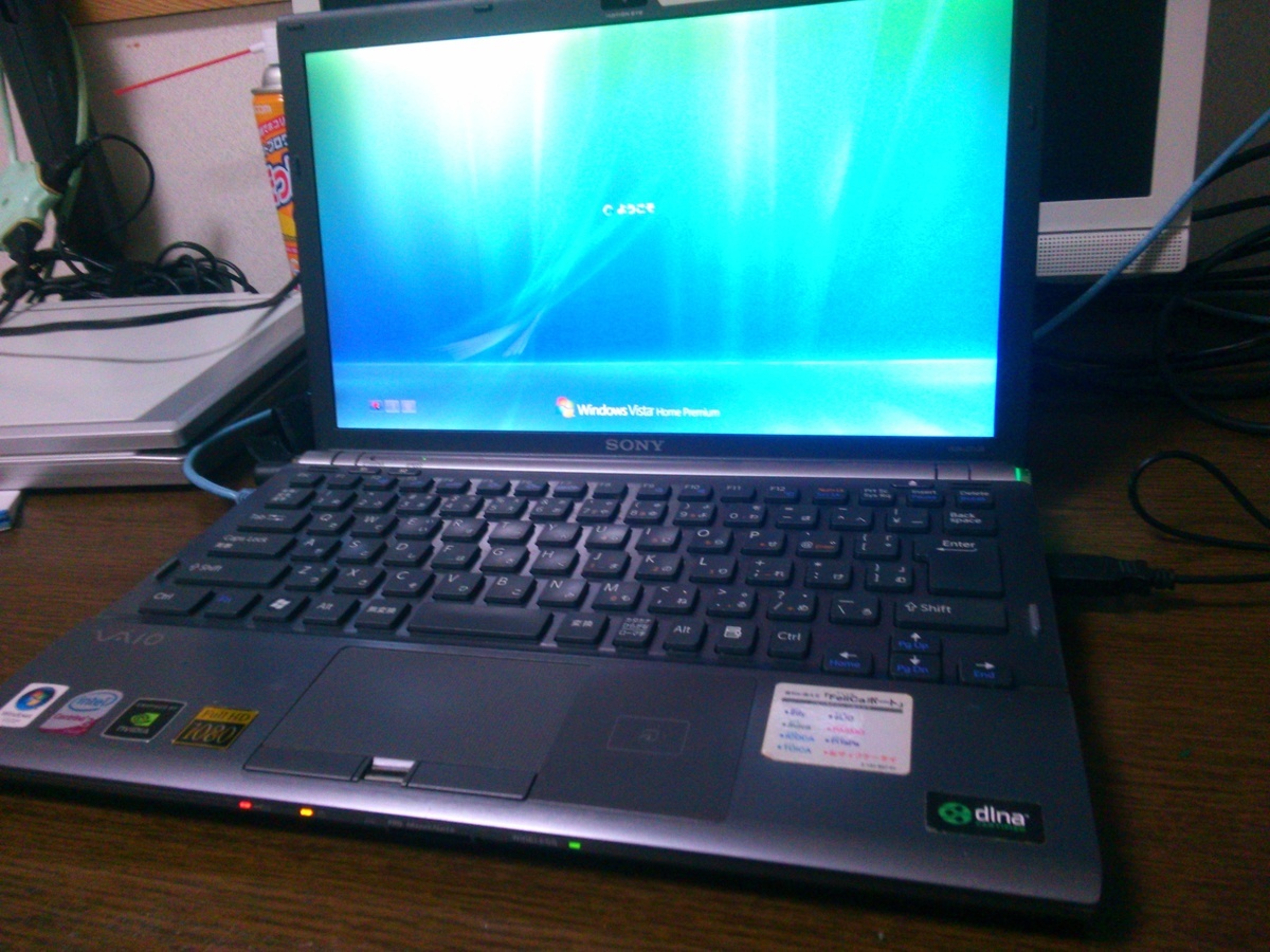 SONY VAIO win10 VGN-NS71B